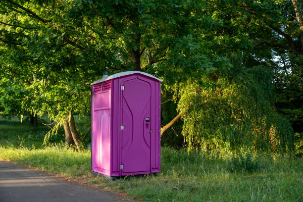 Best Local porta potty services  in Pioche, NV